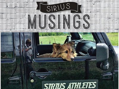 Sirius Musings: The great lessons of life and sport, learned through my dogs